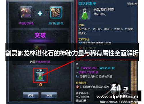 剑灵御龙林进化石的神秘力量与稀有属性全面解析 剑灵御龙林进化石的神秘力量与稀有属性全面解析