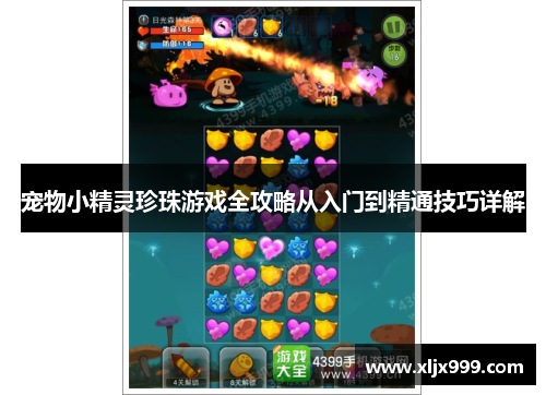 宠物小精灵珍珠游戏全攻略从入门到精通技巧详解 宠物小精灵珍珠游戏全攻略从入门到精通技巧详解